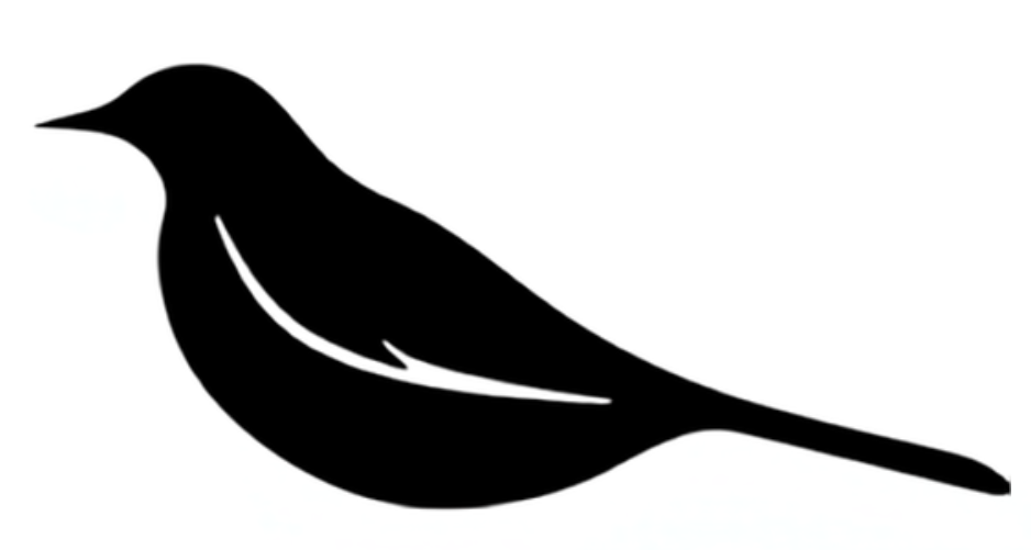 AVES